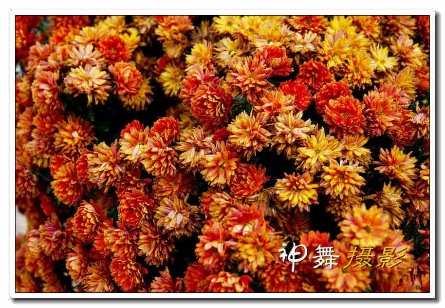 DSC01122_副本.jpg