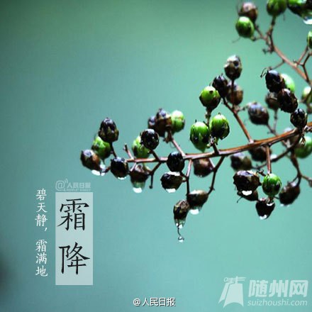 今日霜降