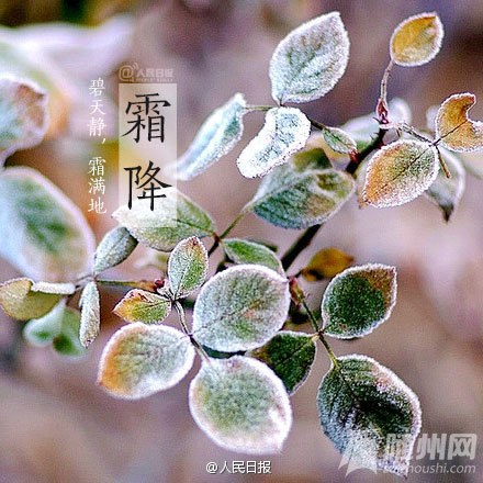 今日霜降