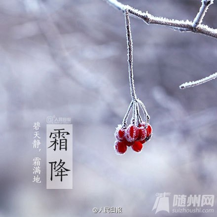 今日霜降