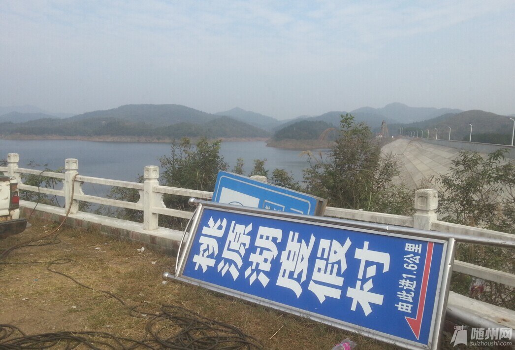 挖掘机1.jpg