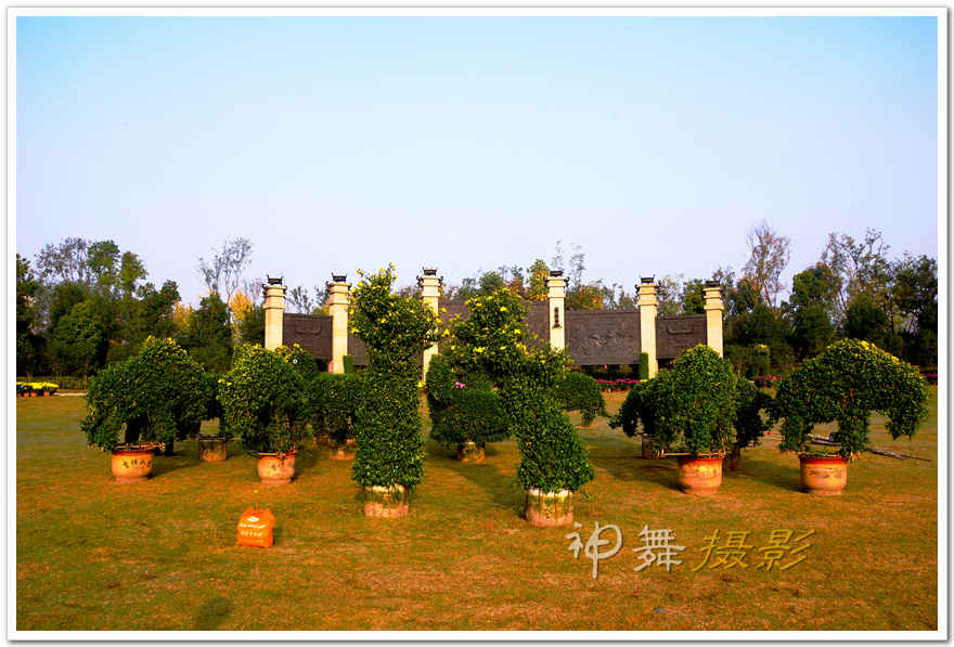 DSC08377_.jpg