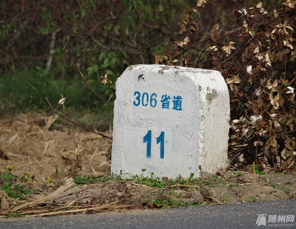 QQͼƬ20141027102656.jpg