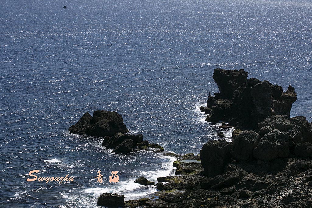 4B1A0579.jpg