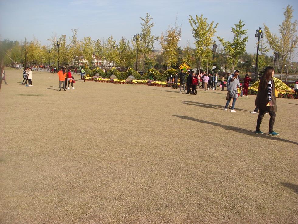 DSC05176.jpg