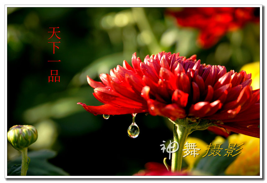DSC08796_.jpg
