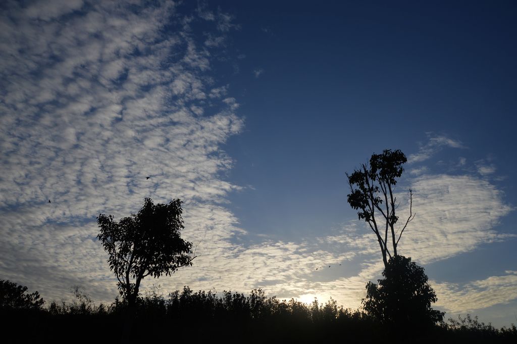 DSC_0130.JPG