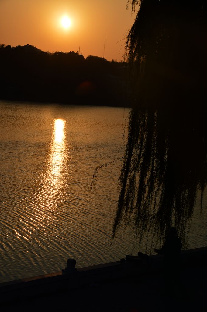 DSC_0002.JPG