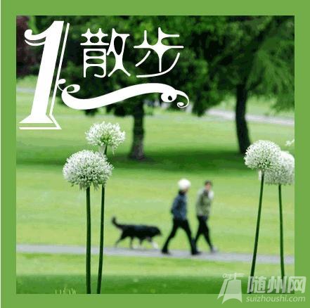 棡9Ȼֹʹ