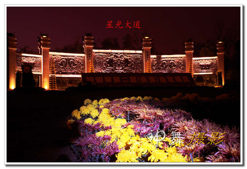 DSC08505_.jpg