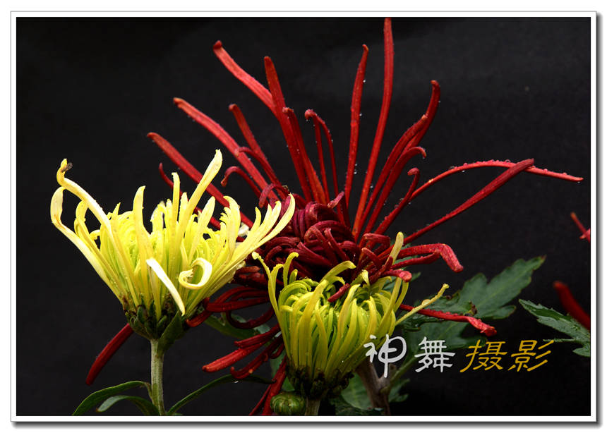 DSC08662_.jpg