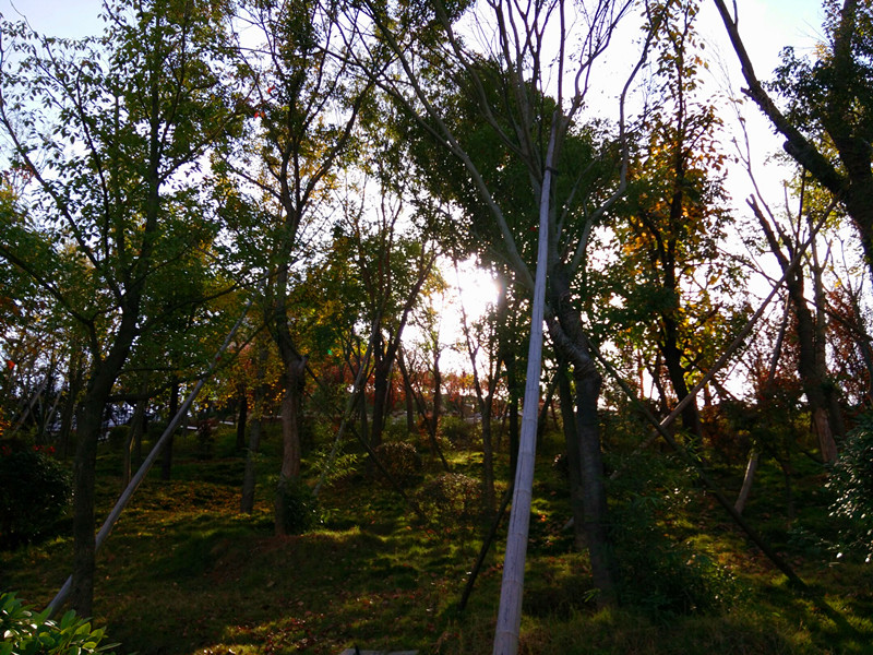 IMG_20141103_223102_.jpg