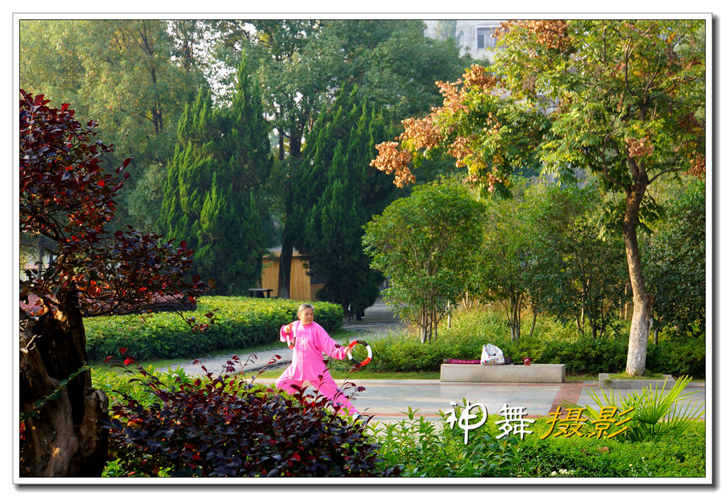 DSC08350_.jpg