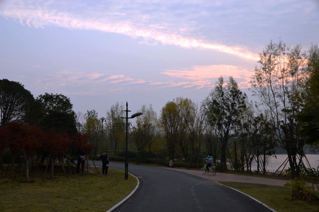 DSC_0106.JPG