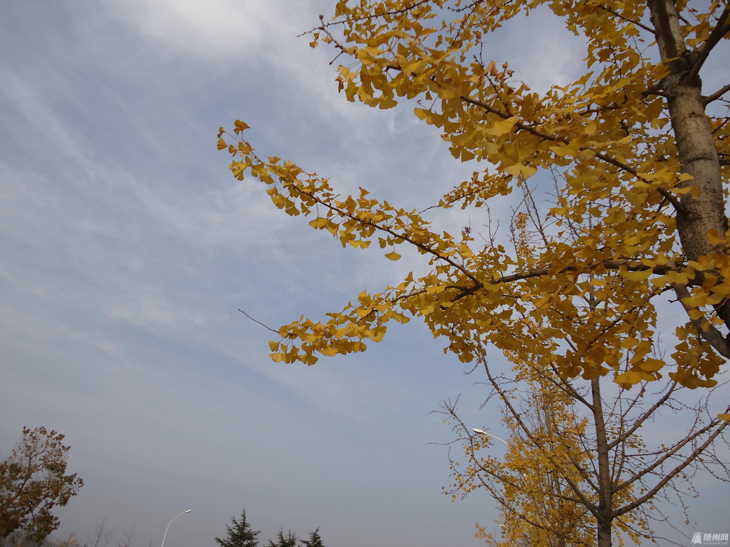 DSC04145.JPG