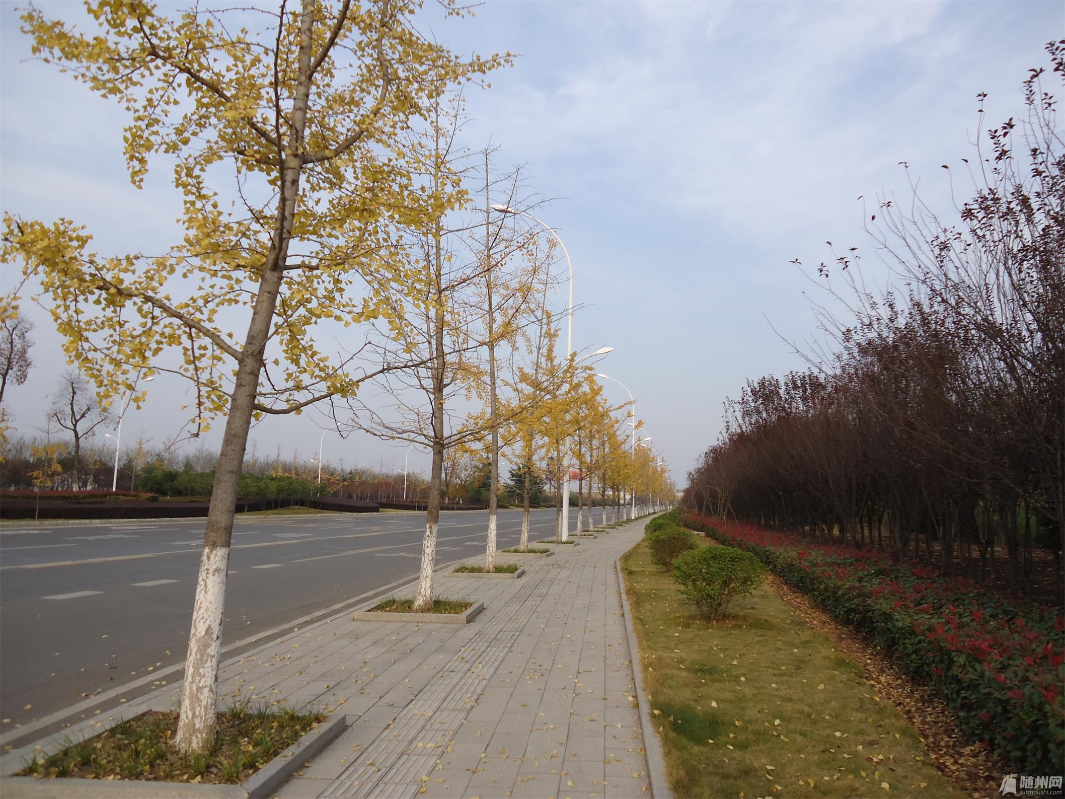 DSC04157.JPG