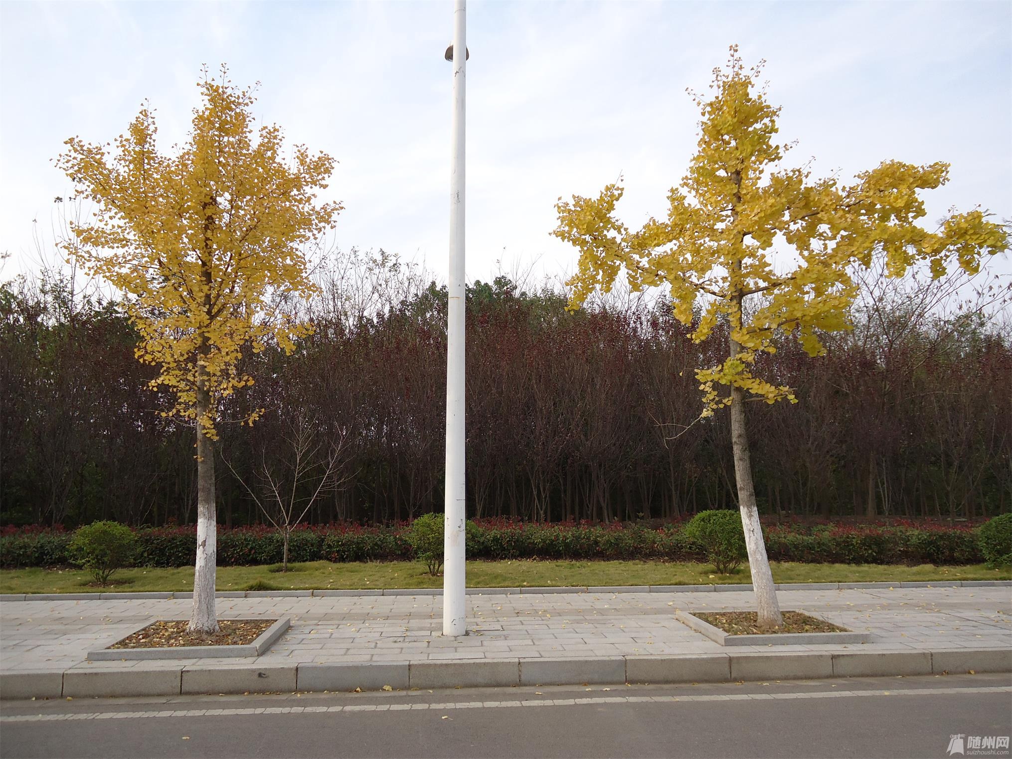 DSC04160.JPG
