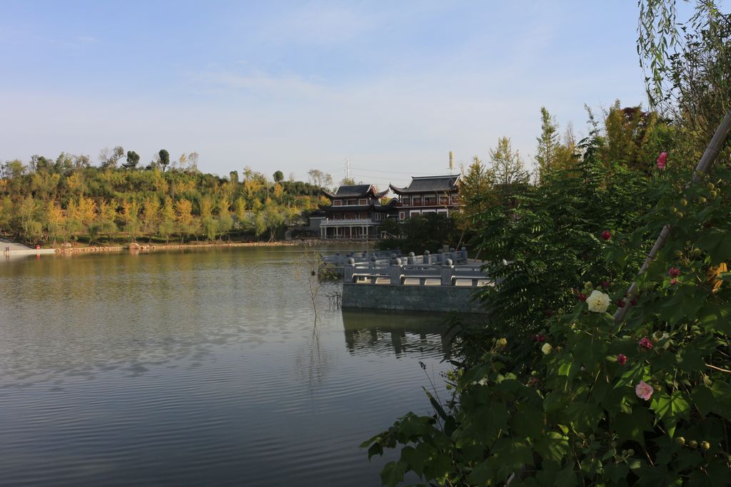 文化公园 秋韵 (1).JPG