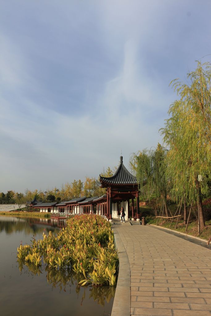 文化公园 秋韵 (4).JPG