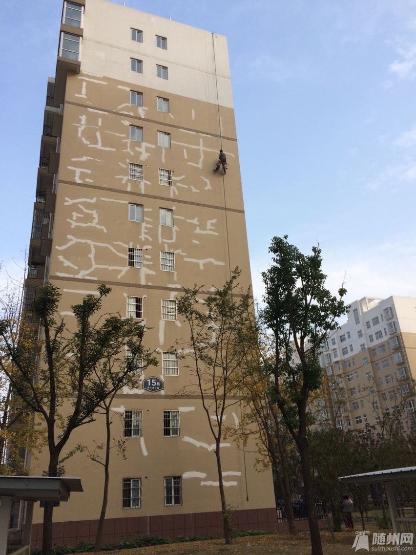 QQ图片20141120101057.jpg