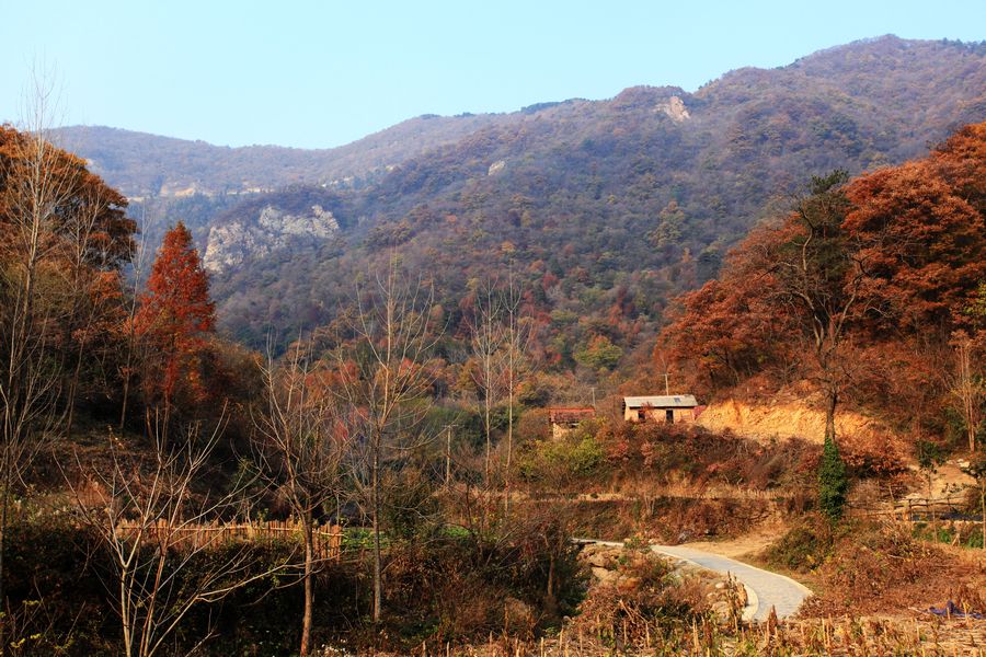 Ƭ20141234 128.jpg