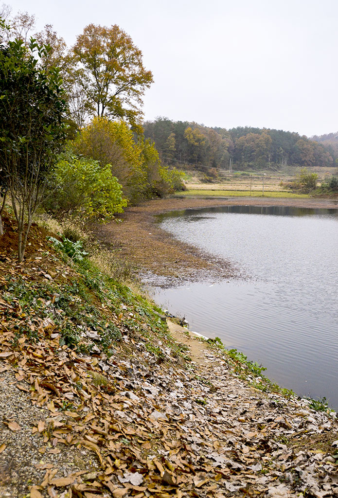 DSC_0067.jpg