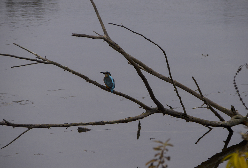 DSC_0104.jpg