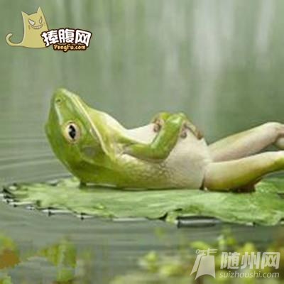 4.jpg