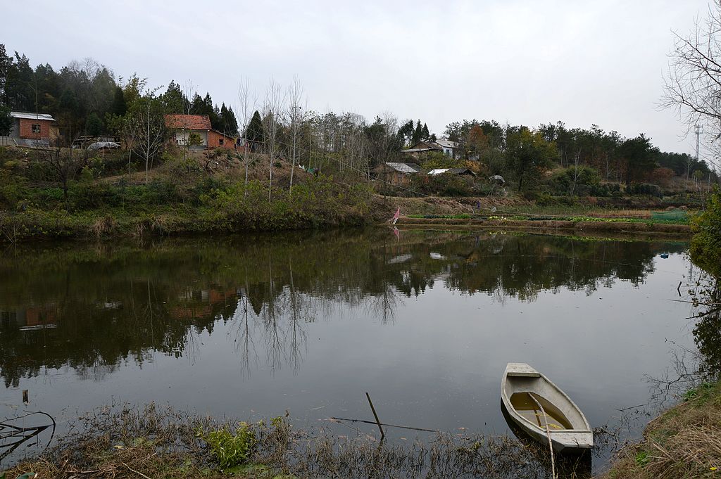 DSC_0114.JPG