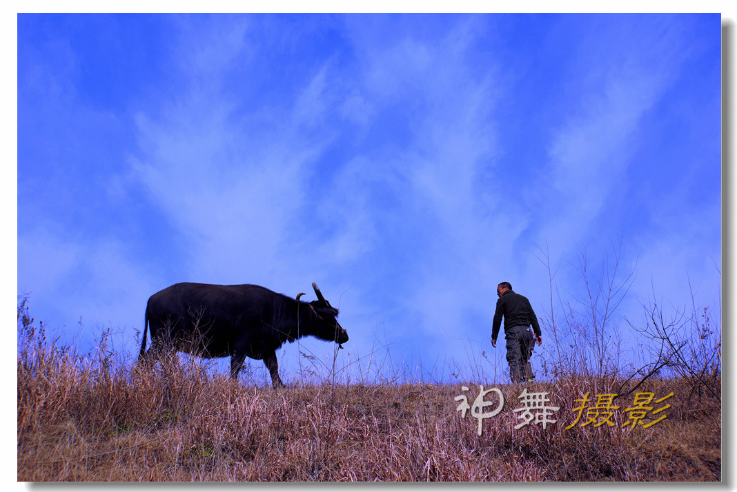 DSC09557_副本.jpg