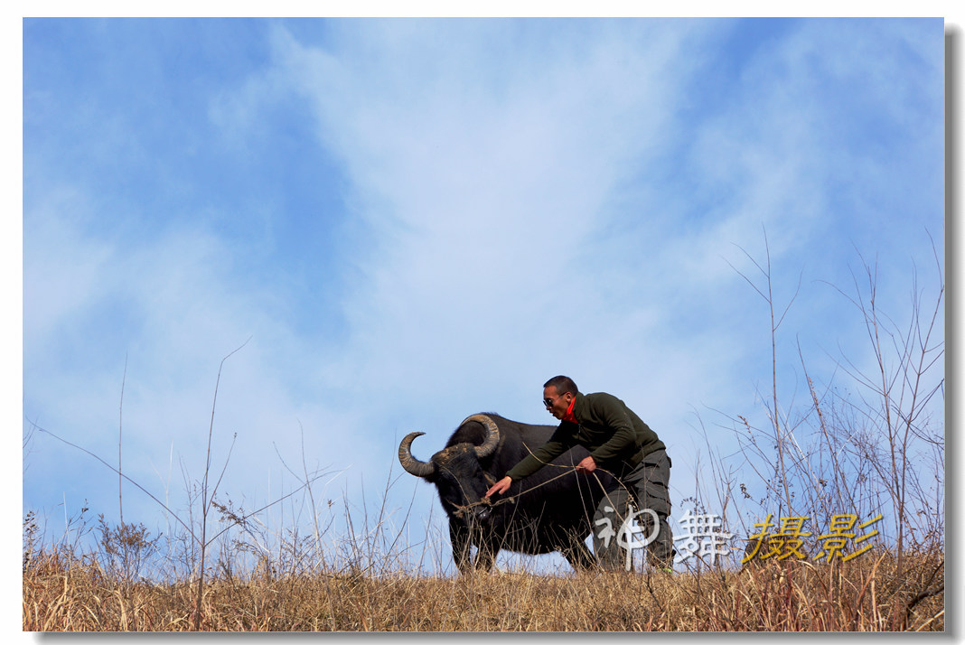 DSC09561_副本.jpg