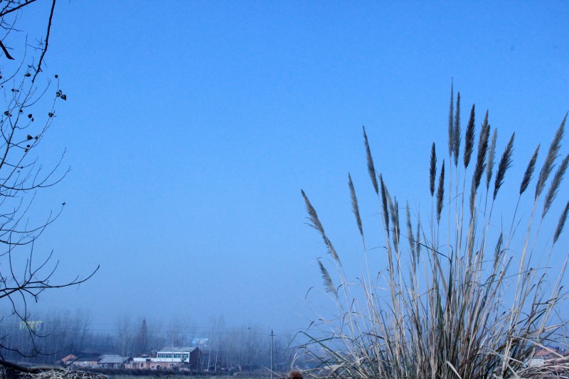 conew_img_9671.jpg