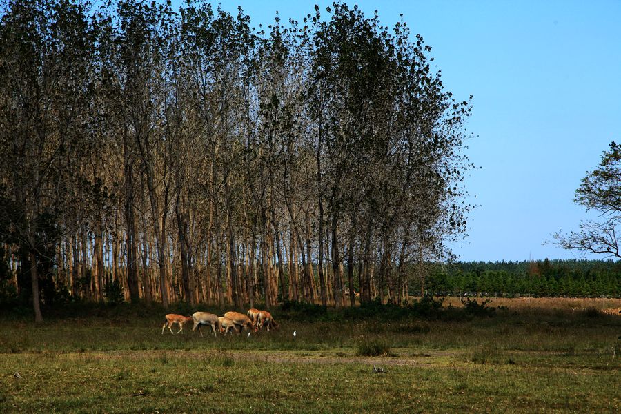 2013.09.19 158.jpg