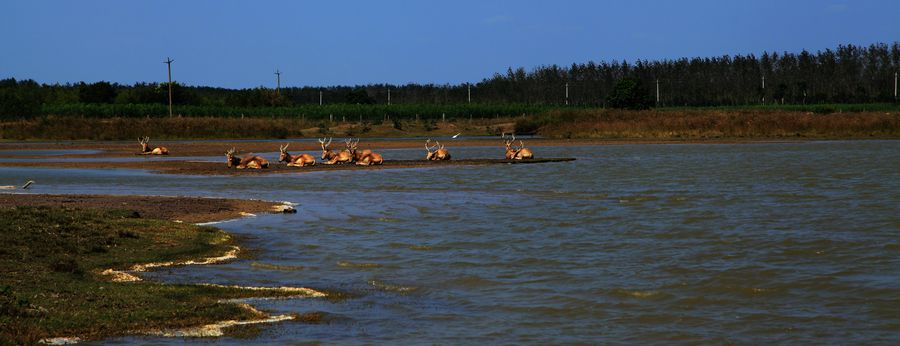 2013.09.19 164.jpg