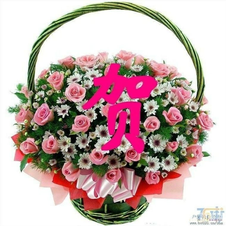 211728ejmua8alu2d2fp66.jpg