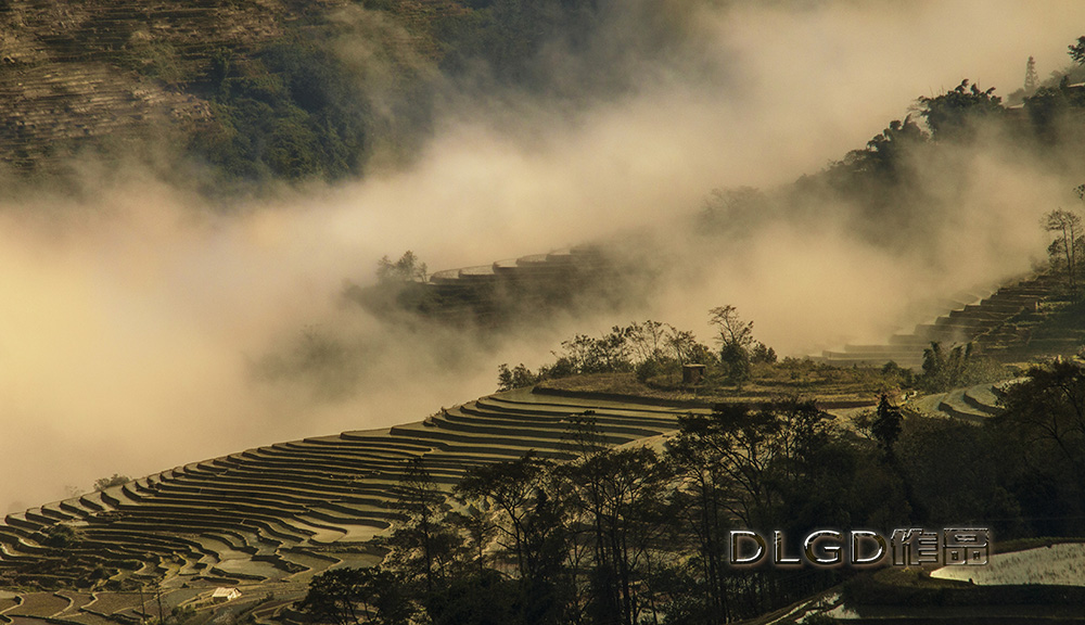 _MG_6862fb副本5.jpg
