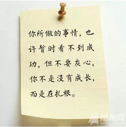 QQͼ20150110100015.jpg