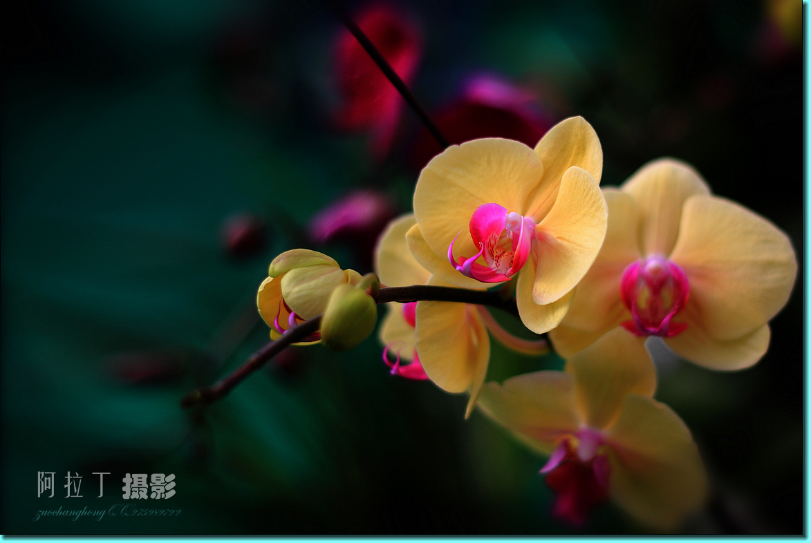 IMG_89741.jpg