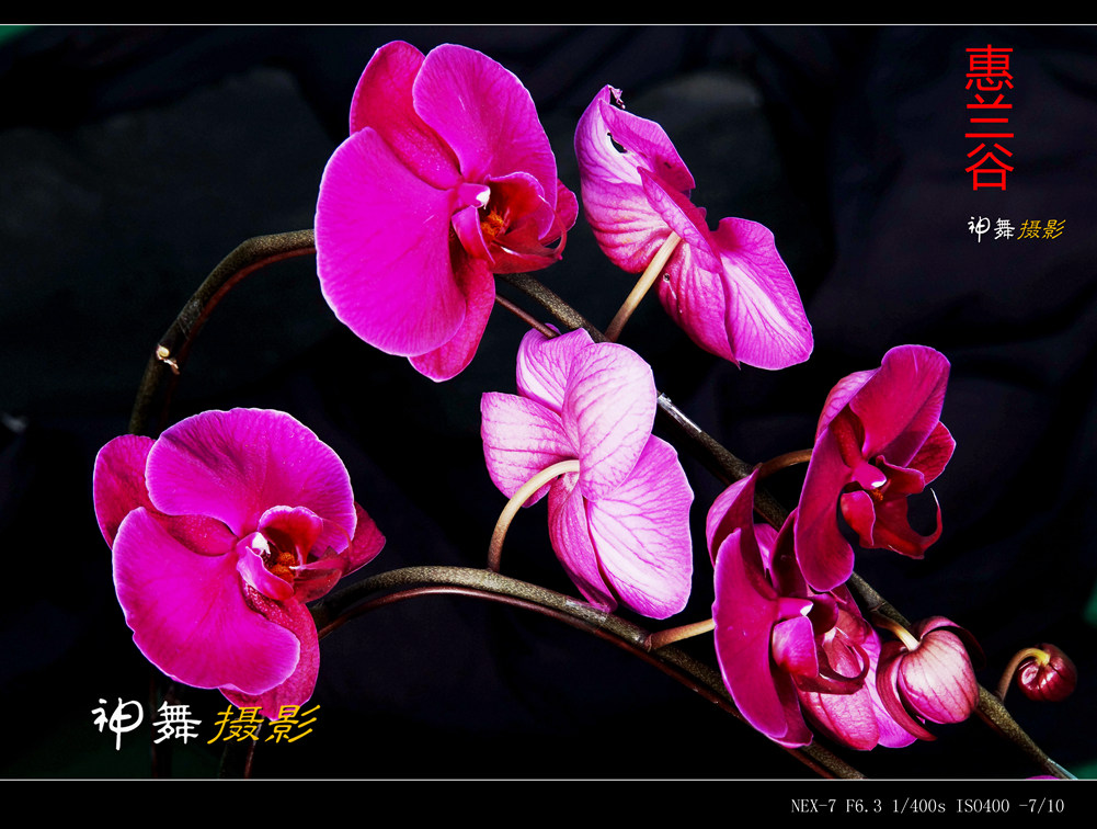 DSC00170___.jpg