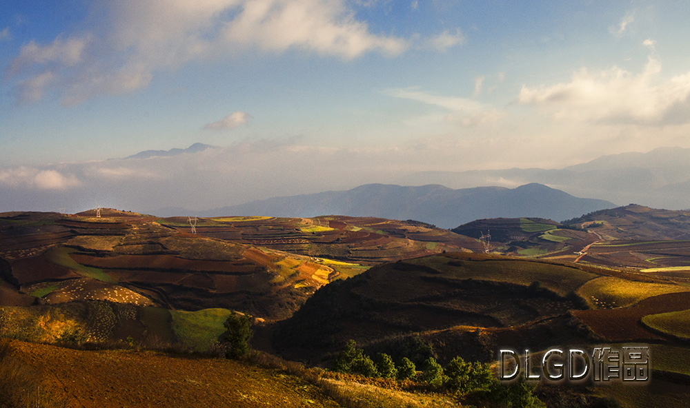 _MG_7152.jpg