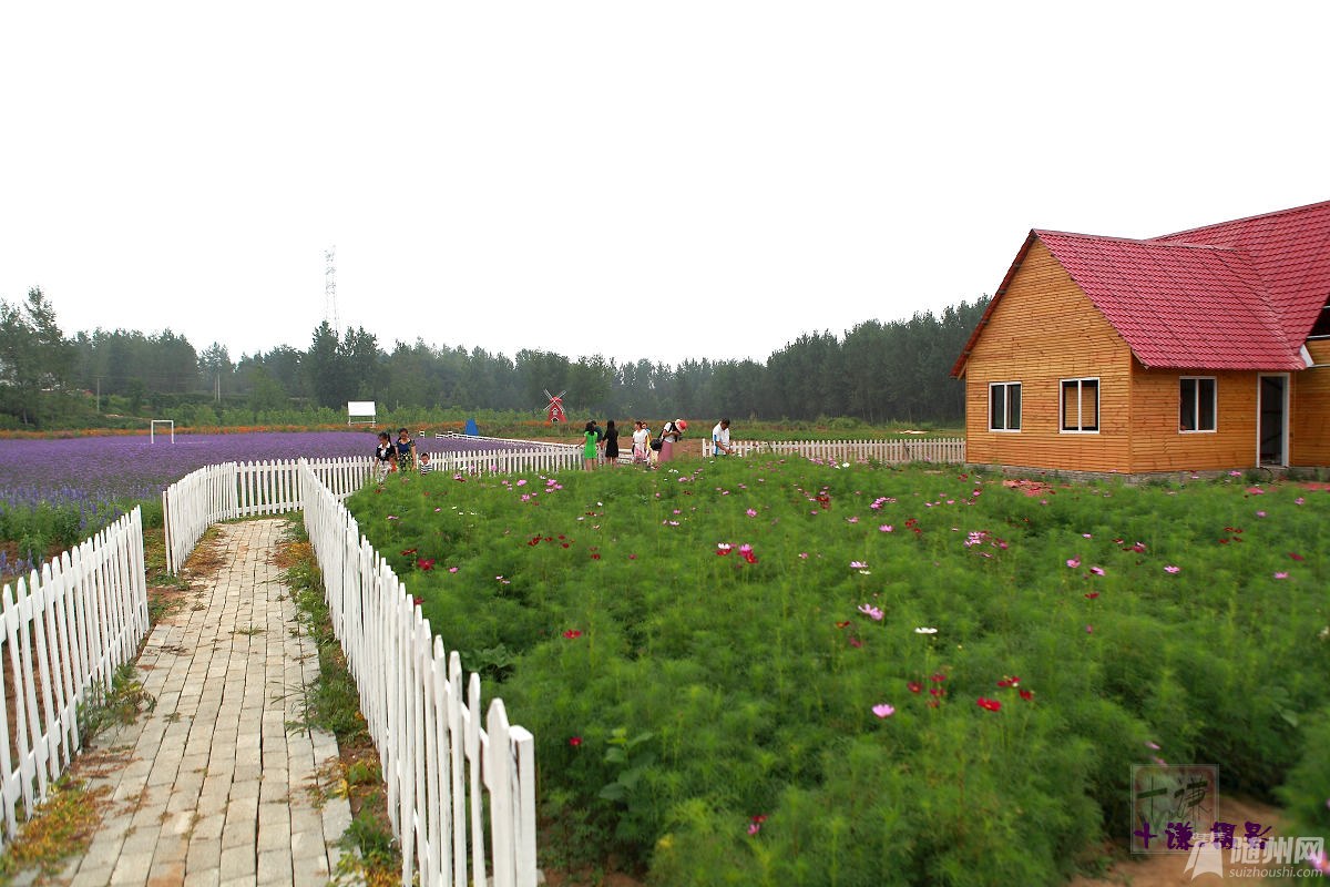 114845lfpb7yikowx8yjpc.jpg