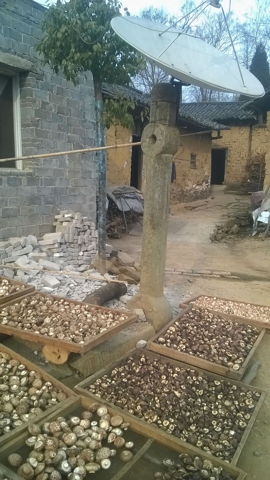 WP_20150111_015-.jpg