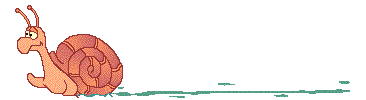 5.gif