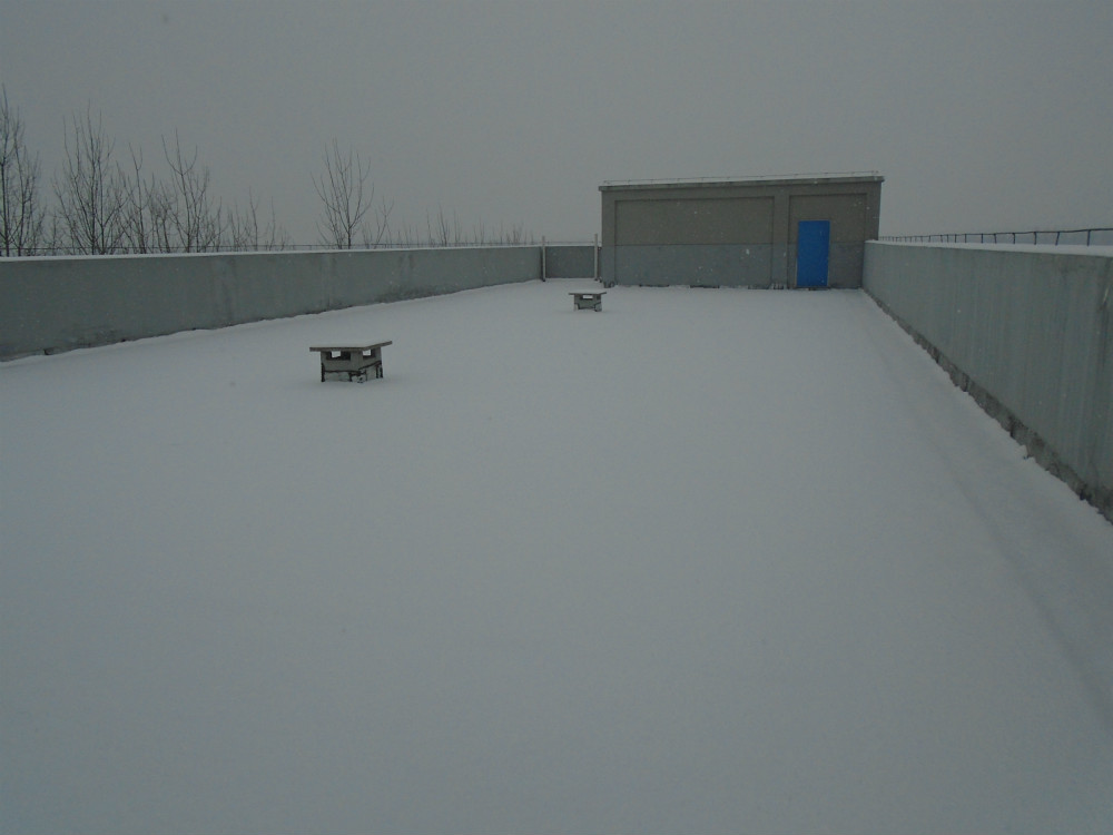 DSC01010_meitu_1.jpg
