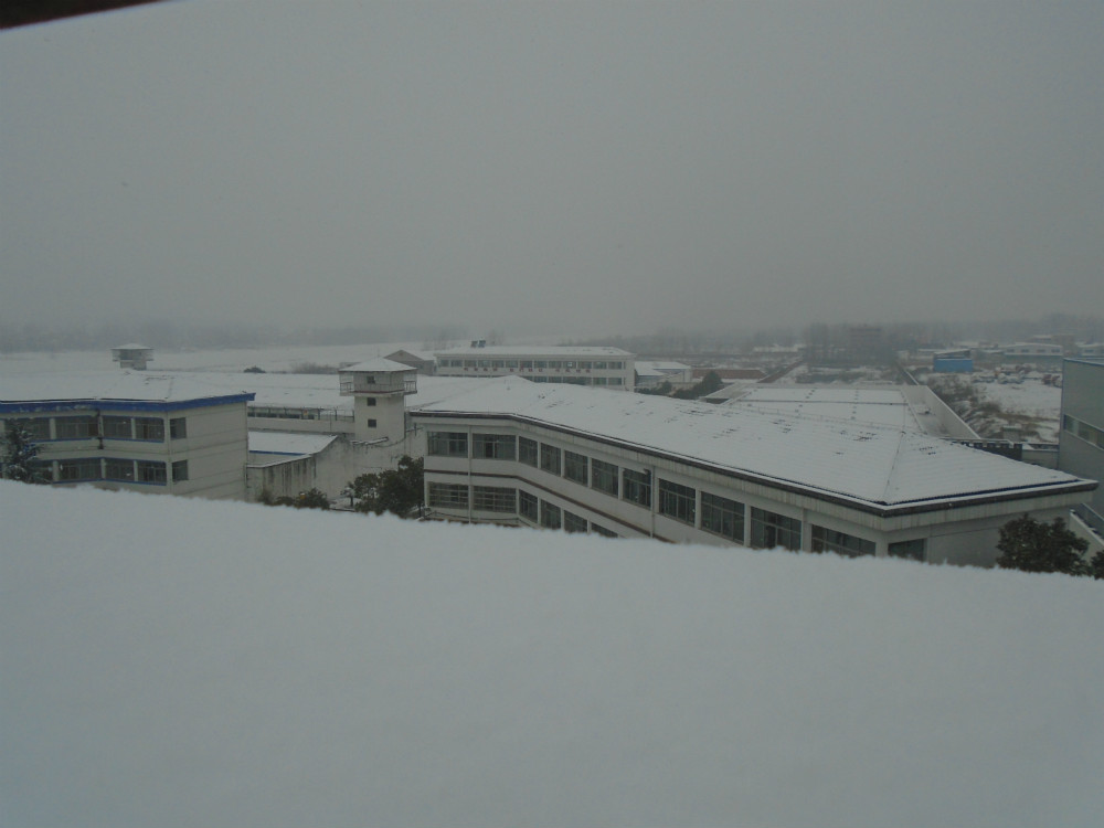 DSC01011_meitu_2.jpg