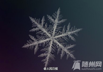ѩʲô
