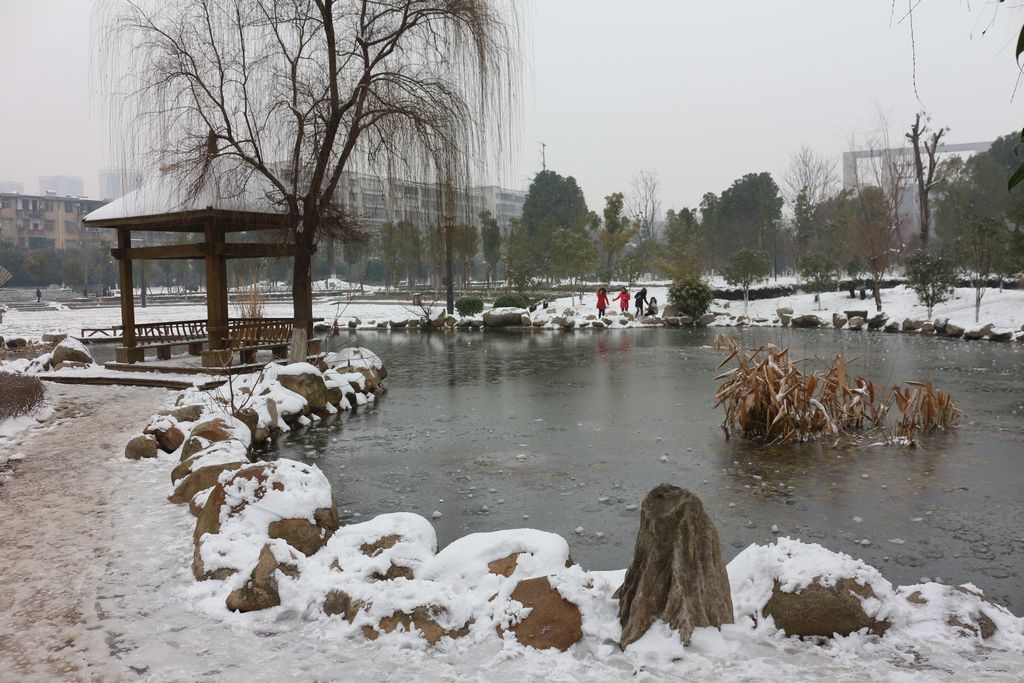 2015ĵһѩ (15).JPG