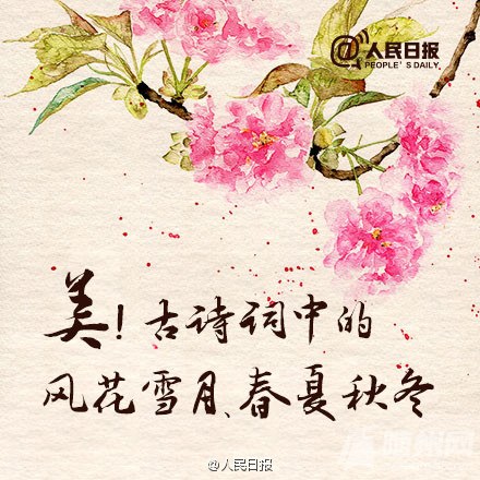 ʫЩ绨ѩ¡