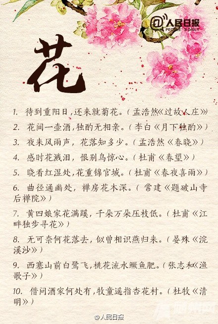 ʫЩ绨ѩ¡