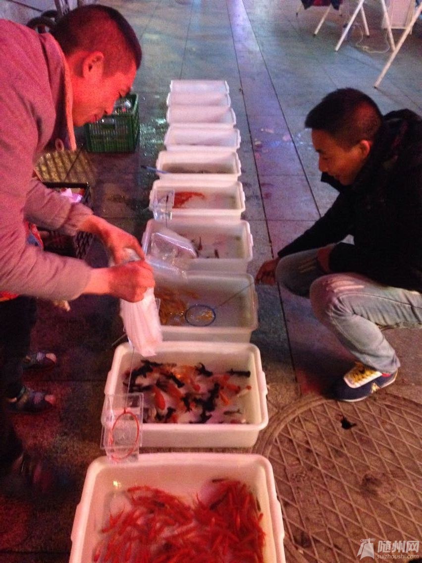 QQͼƬ20150204115557.jpg
